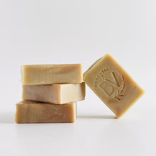 Load image into Gallery viewer, Arnica Aloe Vera